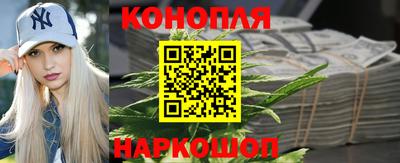 шишки Гагарин