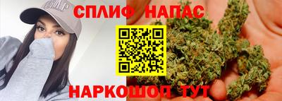 шишки Гагарин